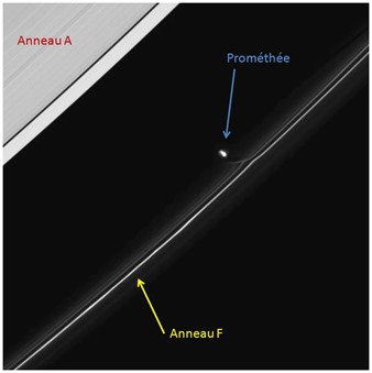 image_anneau_f.jpg
